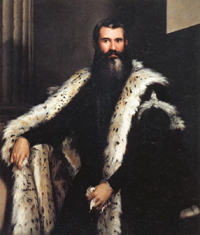 Paolo Veronese Portrait of a Gentleman in a Fur Norge oil painting art